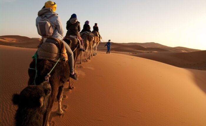 3 Days Tour From Marrakech To M'Hamid
